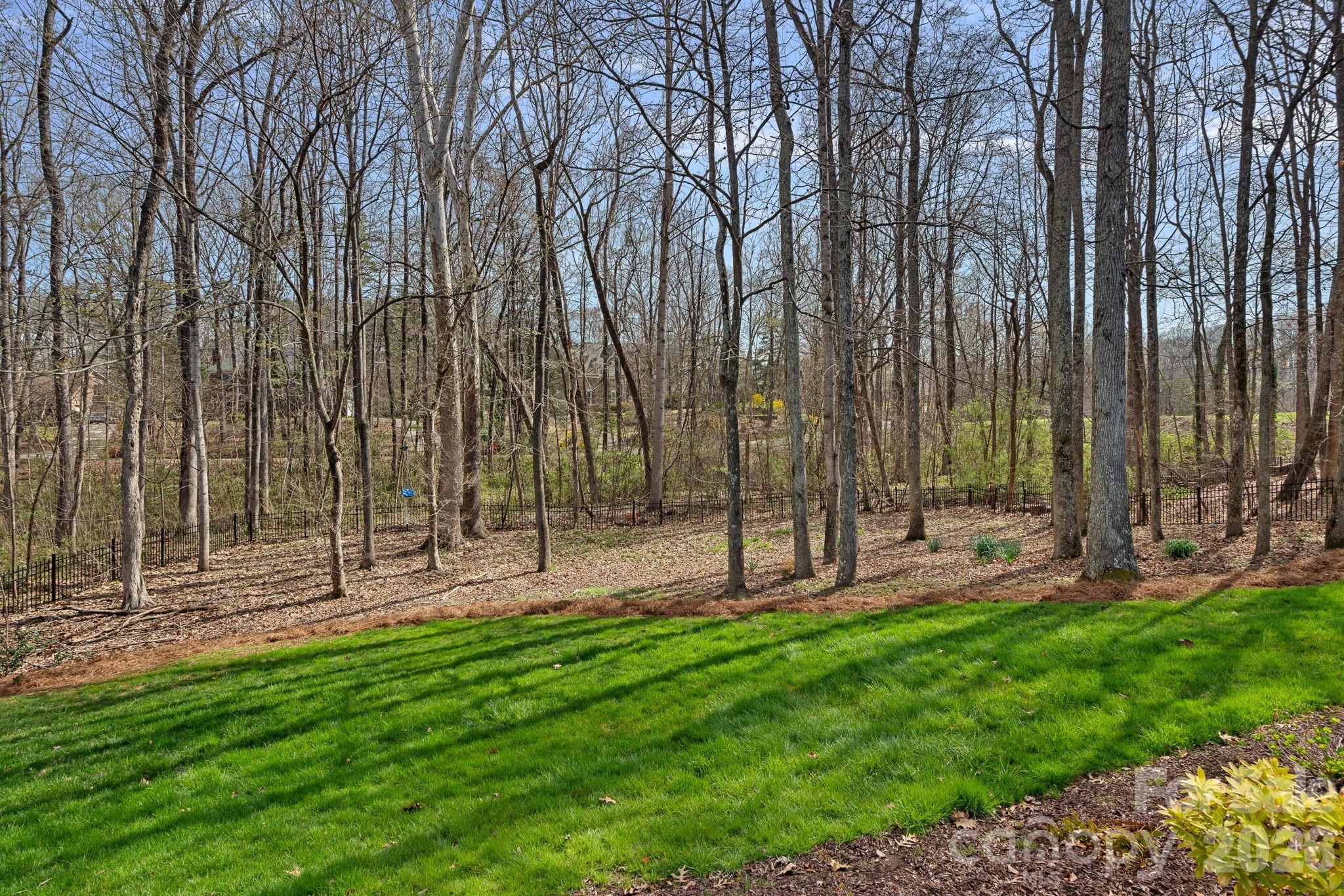 13436 Scanlan Way Davidson, NC 28036 - Photo 41 of 48