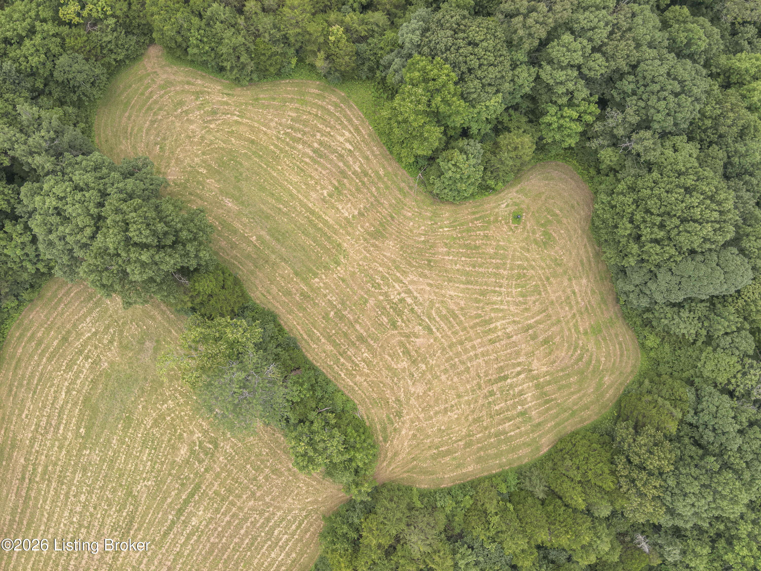 654 Gest Road Pleasureville, KY 40057 - Photo 17 of 44 9-DJI_20260717152105_0005_W