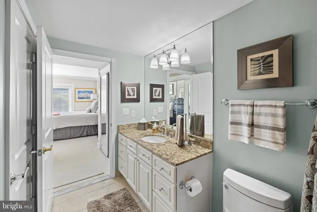 a view of a garden with plants and large trees