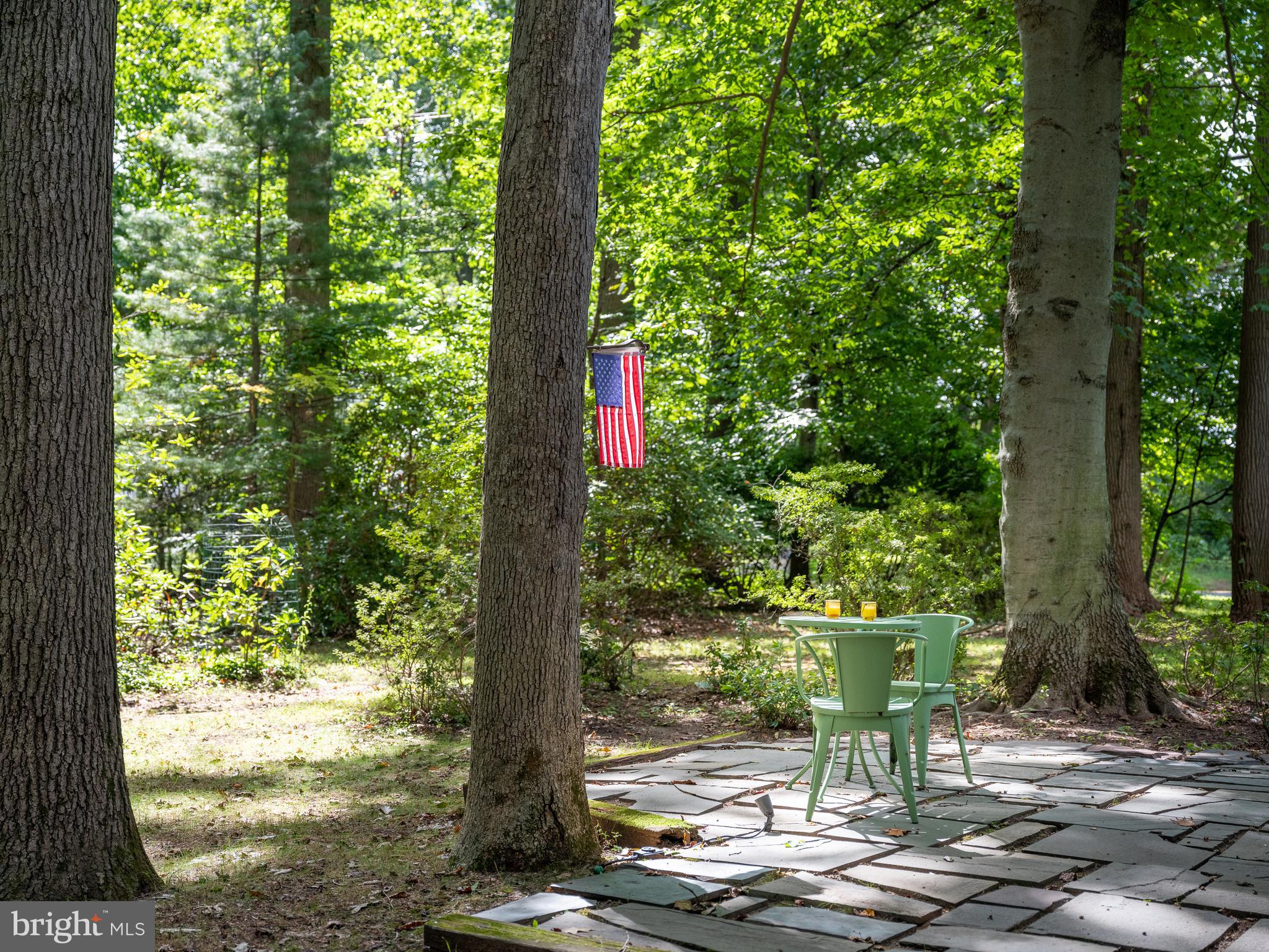 4900 Paist Road Doylestown, PA 18902 - Photo 26 of 39 Side patio