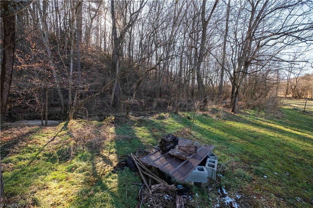 663 Ruritan Road Roaring River, NC 28669 - Photo 38 of 43 Area near stream