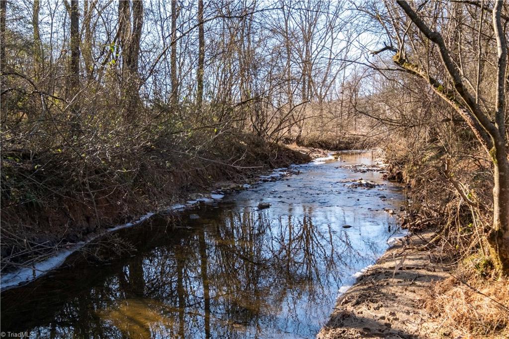 663 Ruritan Road Roaring River, NC 28669 - Photo 39 of 43 Stream located on property.