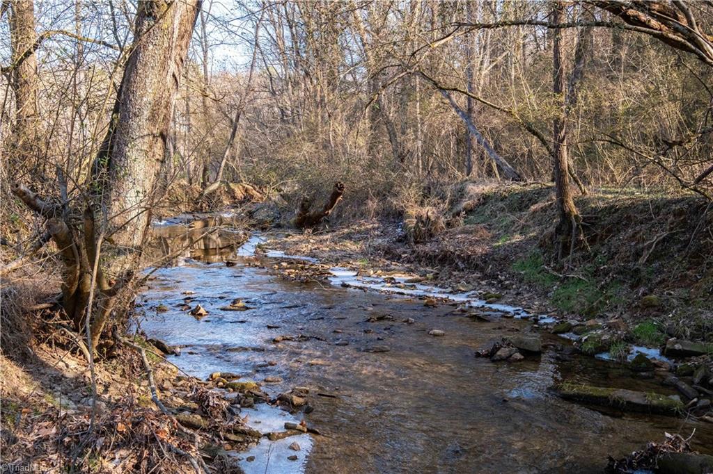 663 Ruritan Road Roaring River, NC 28669 - Photo 8 of 43 Property features pleasant stream.