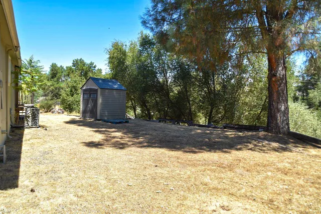a view of a yard with trees