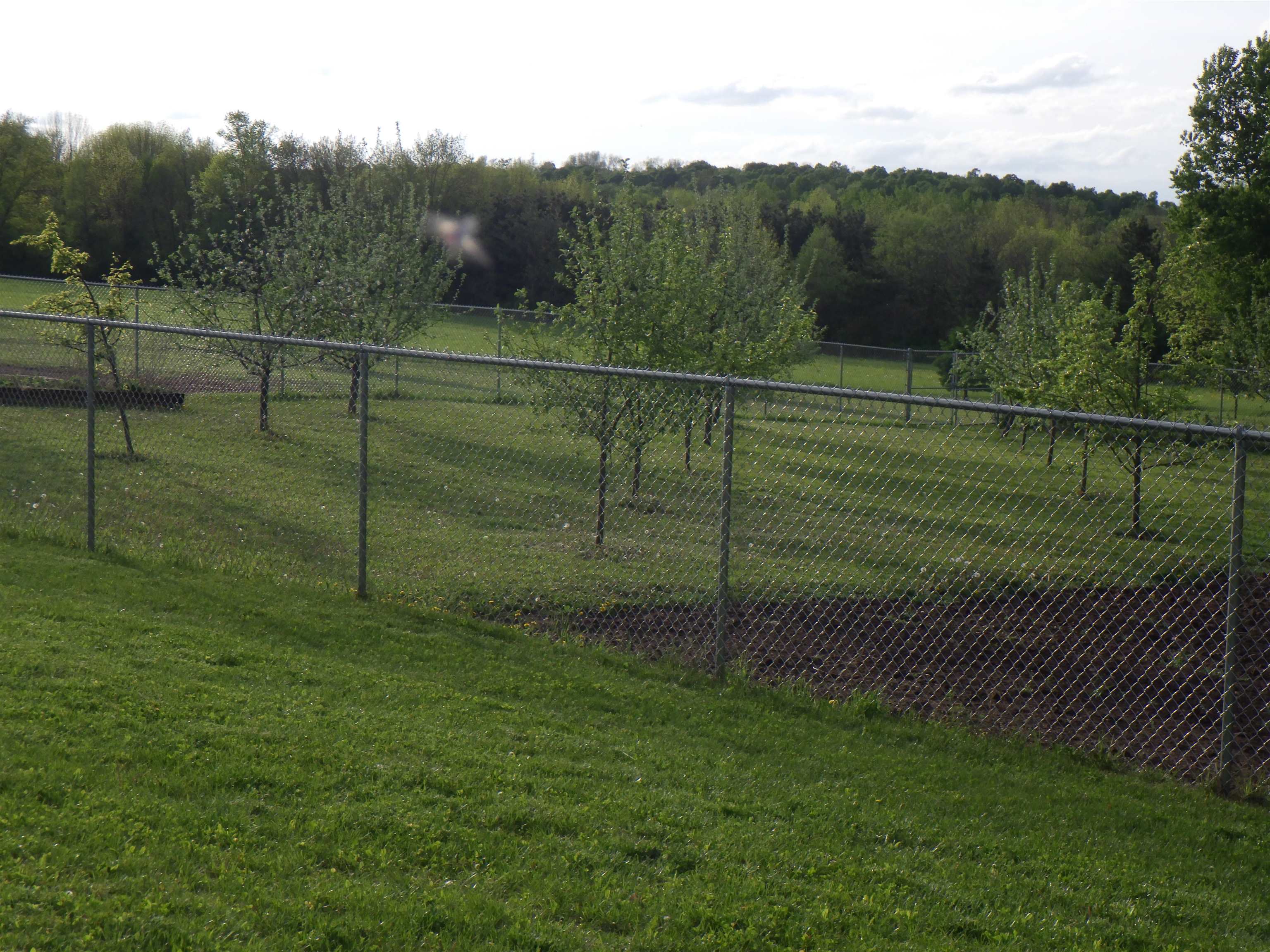 E7696 Horn Road Clintonville, WI 54929 - Photo 56 of 86