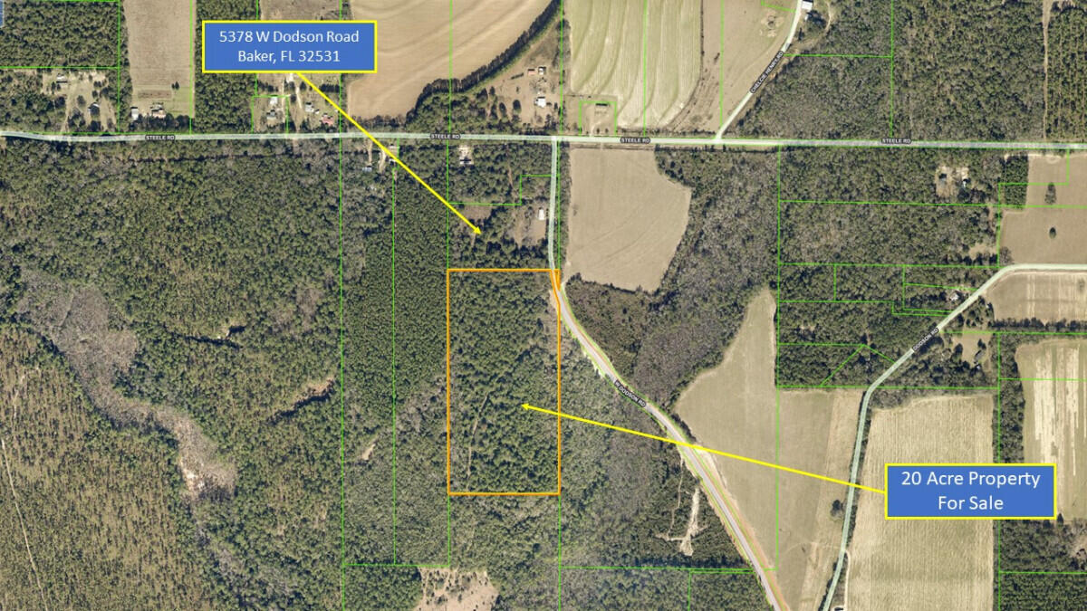 0 Dodson Road Baker, FL 32531 - Photo 1 of 6