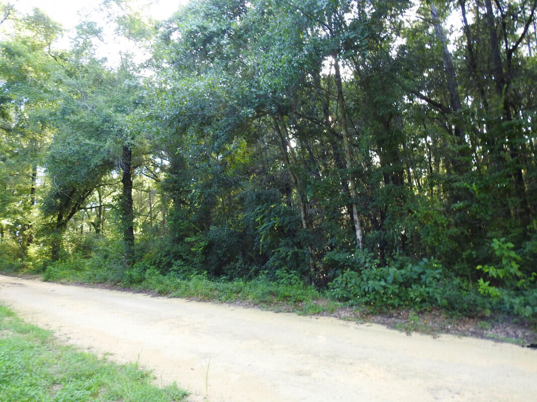 0 Dodson Road Baker, FL 32531 - Photo 2 of 6 a view of outdoor space and yard