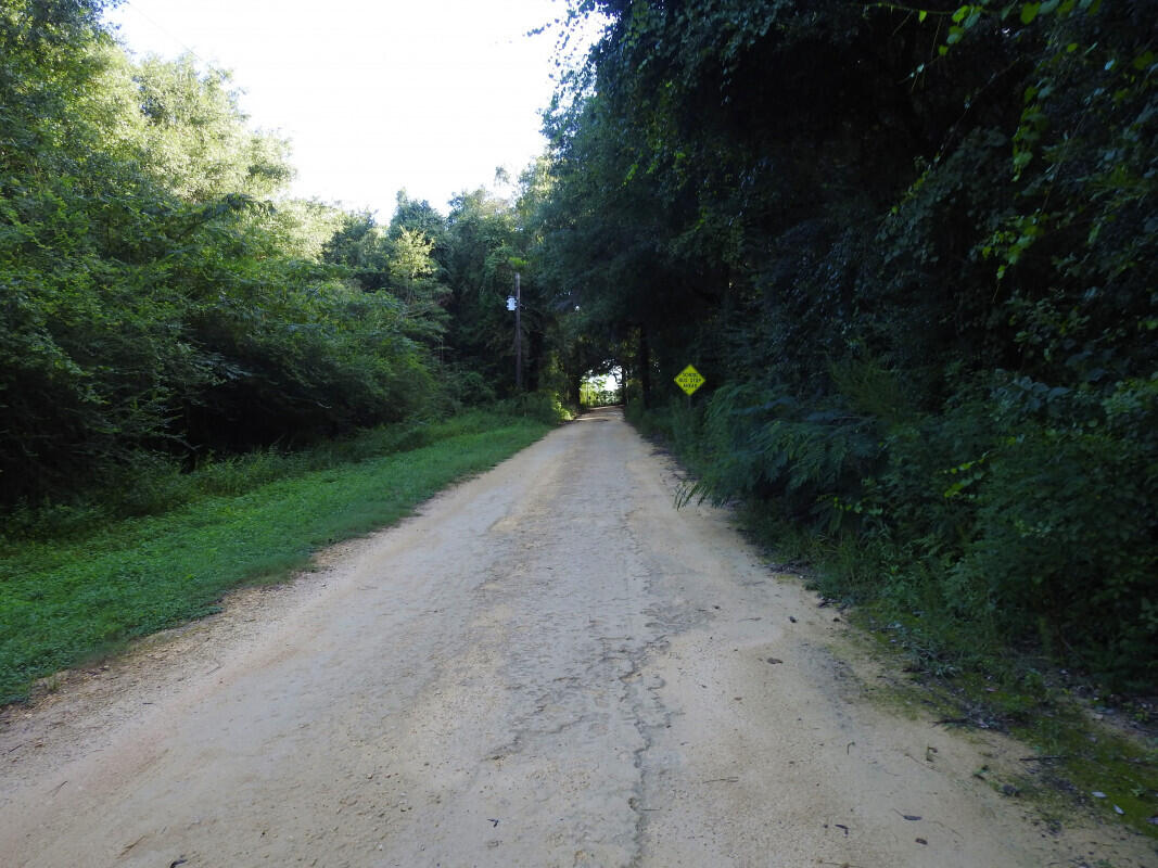0 Dodson Road Baker, FL 32531 - Photo 4 of 6 a view of a road with a trees