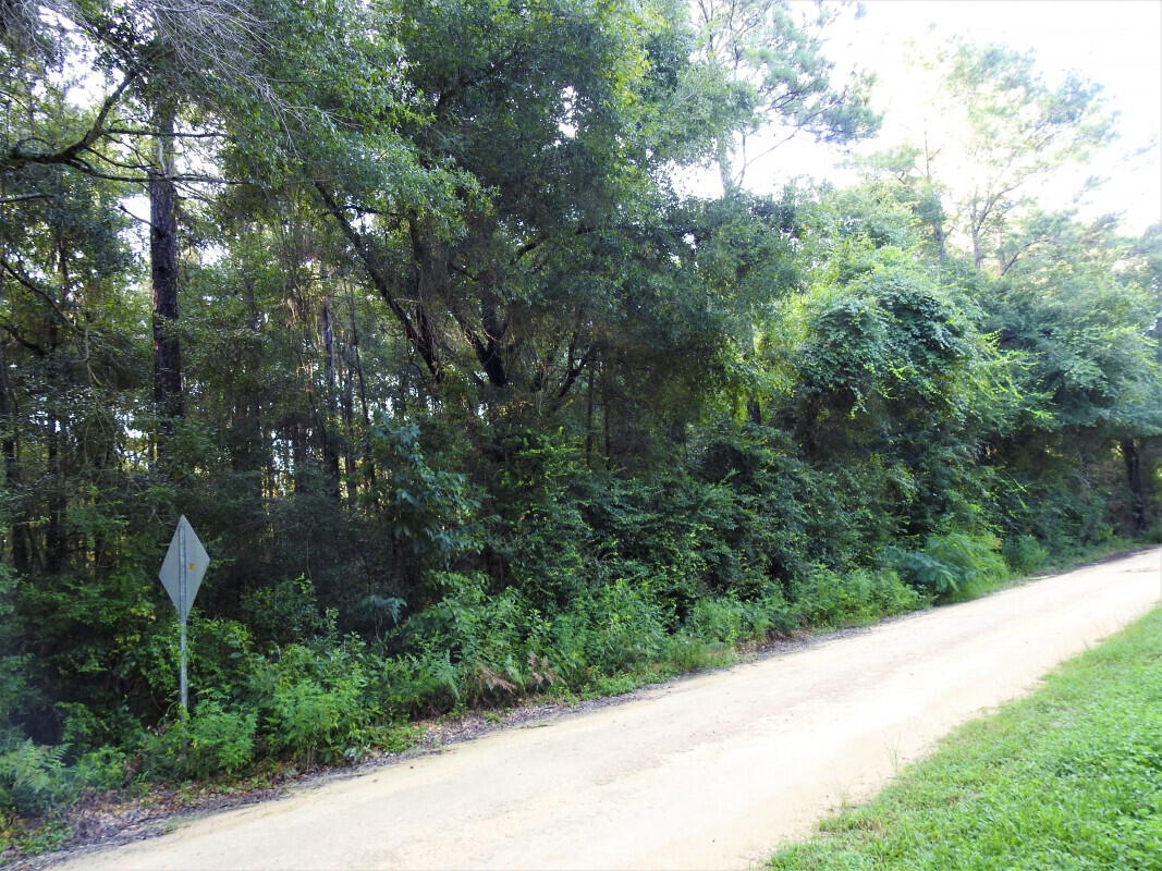 0 Dodson Road Baker, FL 32531 - Photo 5 of 6 a view of a street view