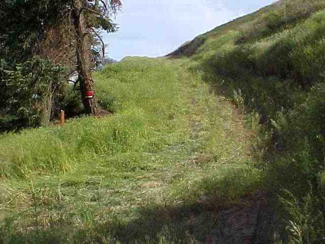 0 Kelsey Road Rosalia, WA 99170 - Photo 2 of 6