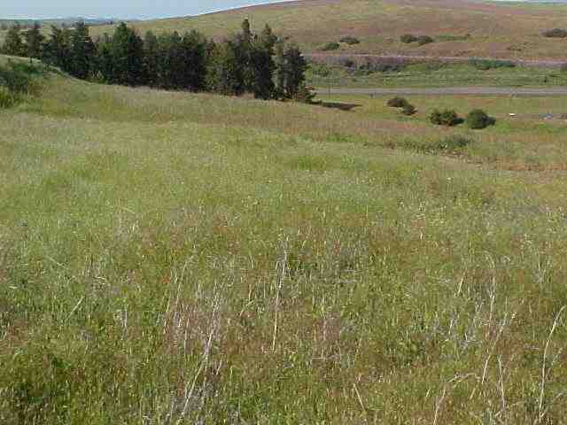 0 Kelsey Road Rosalia, WA 99170 - Photo 3 of 6