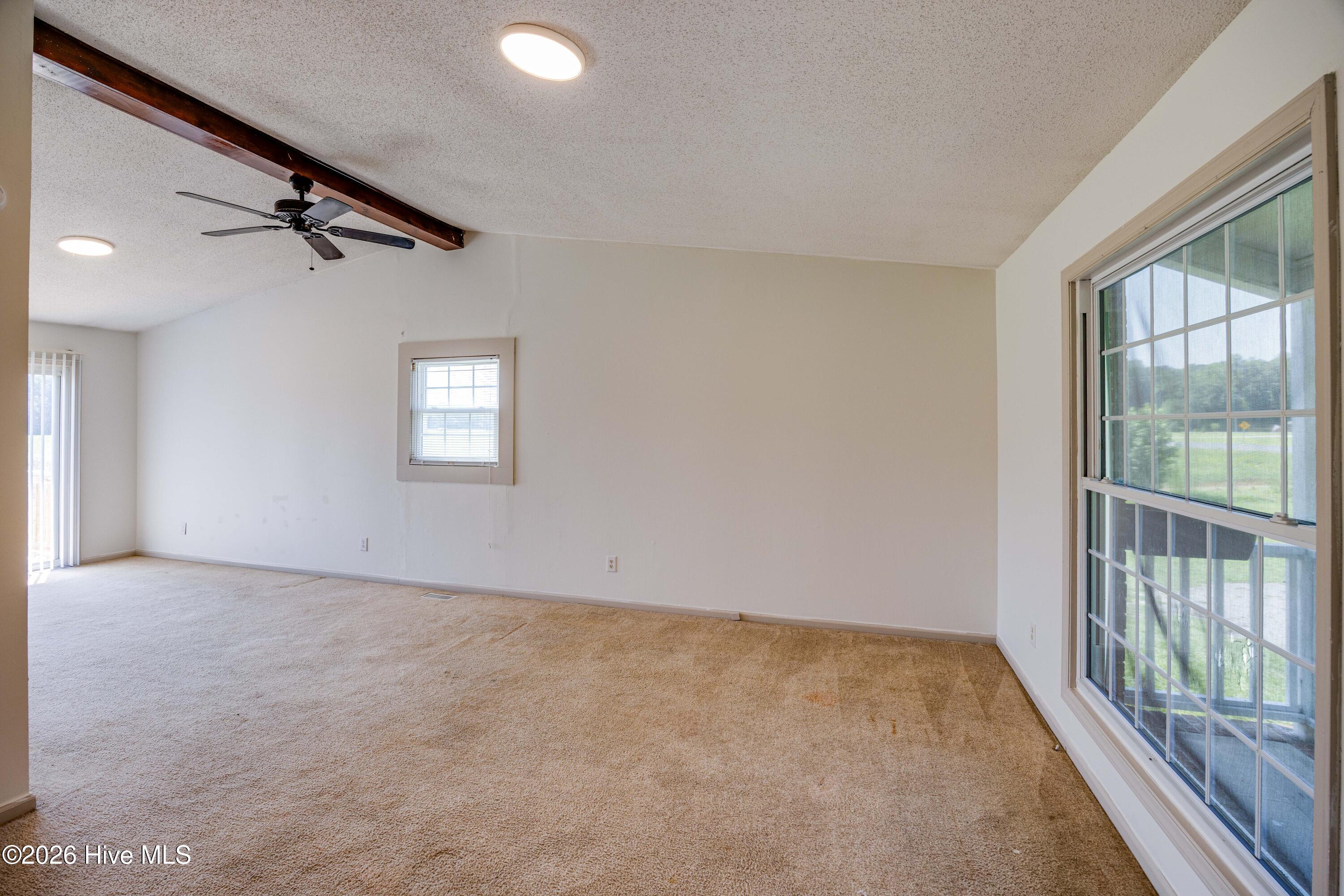 682 Cherry Road Washington, NC 27889 - Photo 13 of 40 Extra Large Newer Windows Throughout!