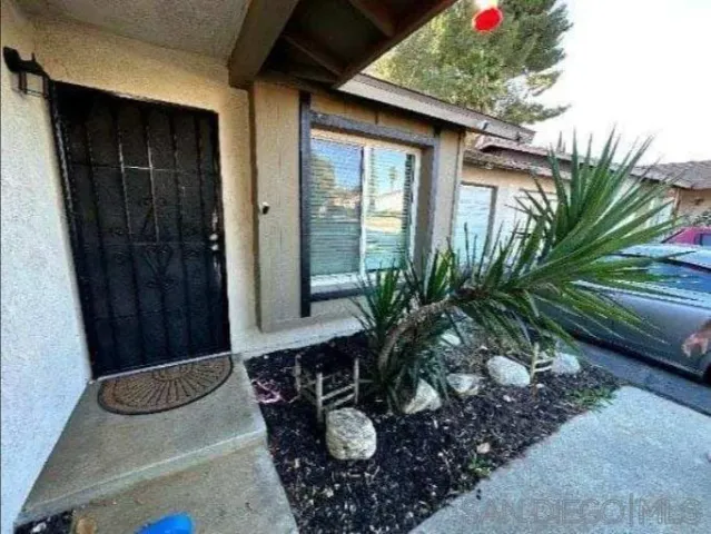 a potted plant sitting in front of a house