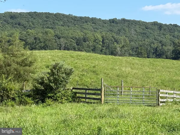 a view of a grassy area with an trees