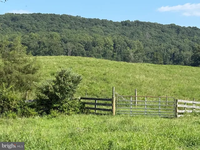 a view of a grassy area with an trees