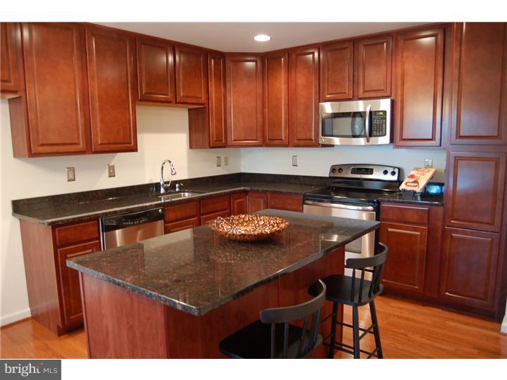 309 McIntosh Road West Chester, PA 19382 - Photo 13 of 24 Kitchen