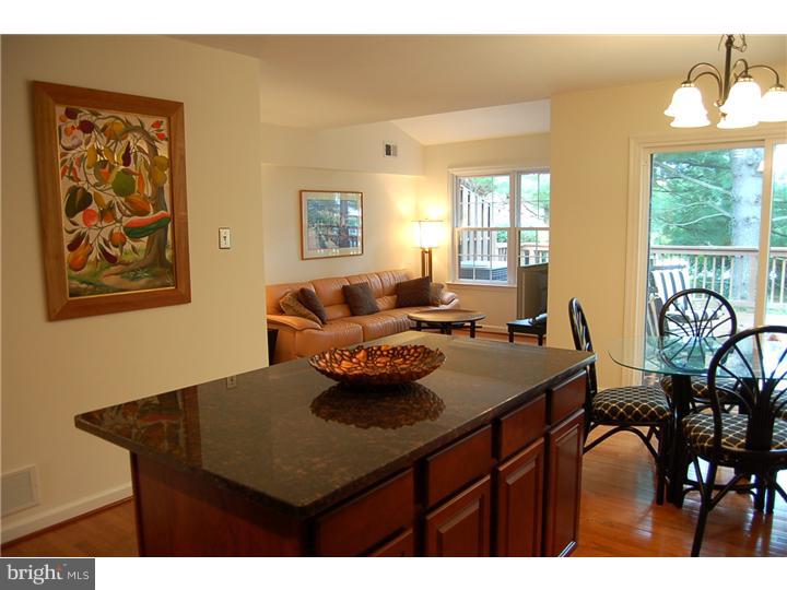 309 McIntosh Road West Chester, PA 19382 - Photo 14 of 24 Kitchen