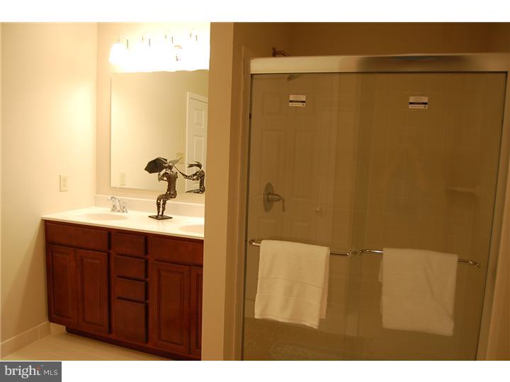 309 McIntosh Road West Chester, PA 19382 - Photo 20 of 24 Master Bathroom
