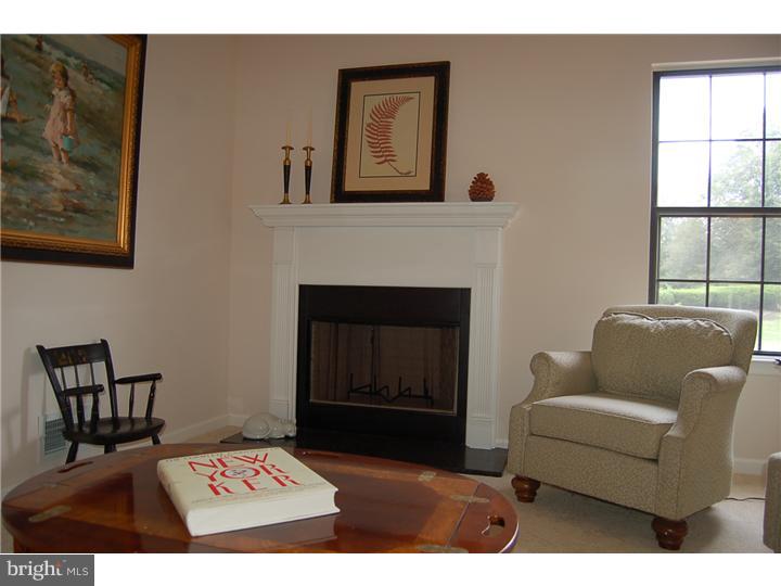 309 McIntosh Road West Chester, PA 19382 - Photo 5 of 24 Fireplace