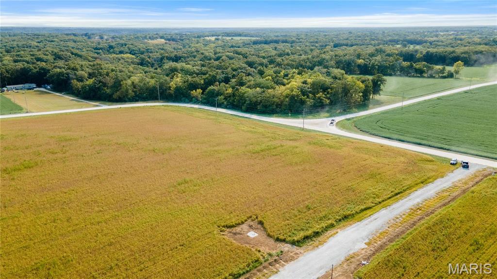 106 Otto Court Silex, MO 63377 - Photo 20 of 26