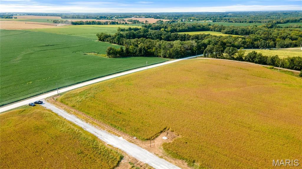 106 Otto Court Silex, MO 63377 - Photo 21 of 26