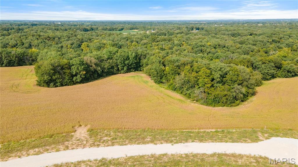 106 Otto Court Silex, MO 63377 - Photo 9 of 26