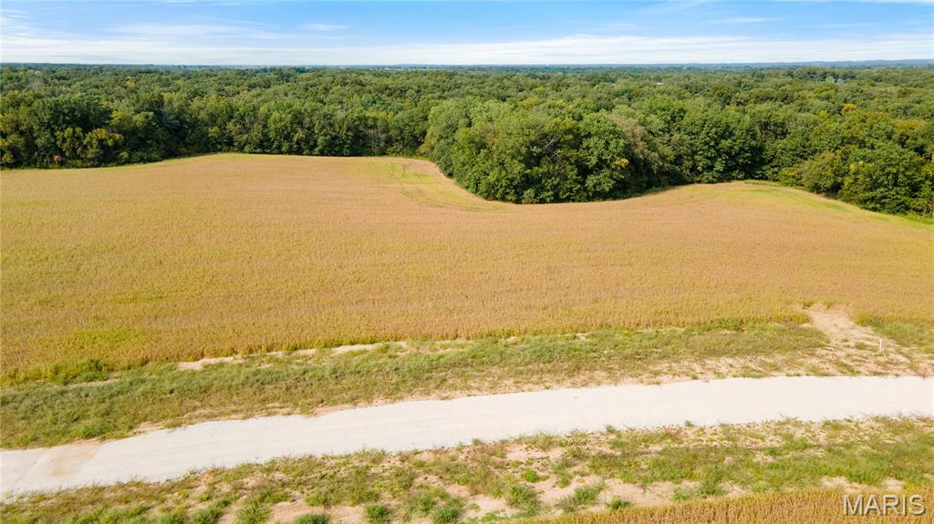 106 Otto Court Silex, MO 63377 - Photo 10 of 26