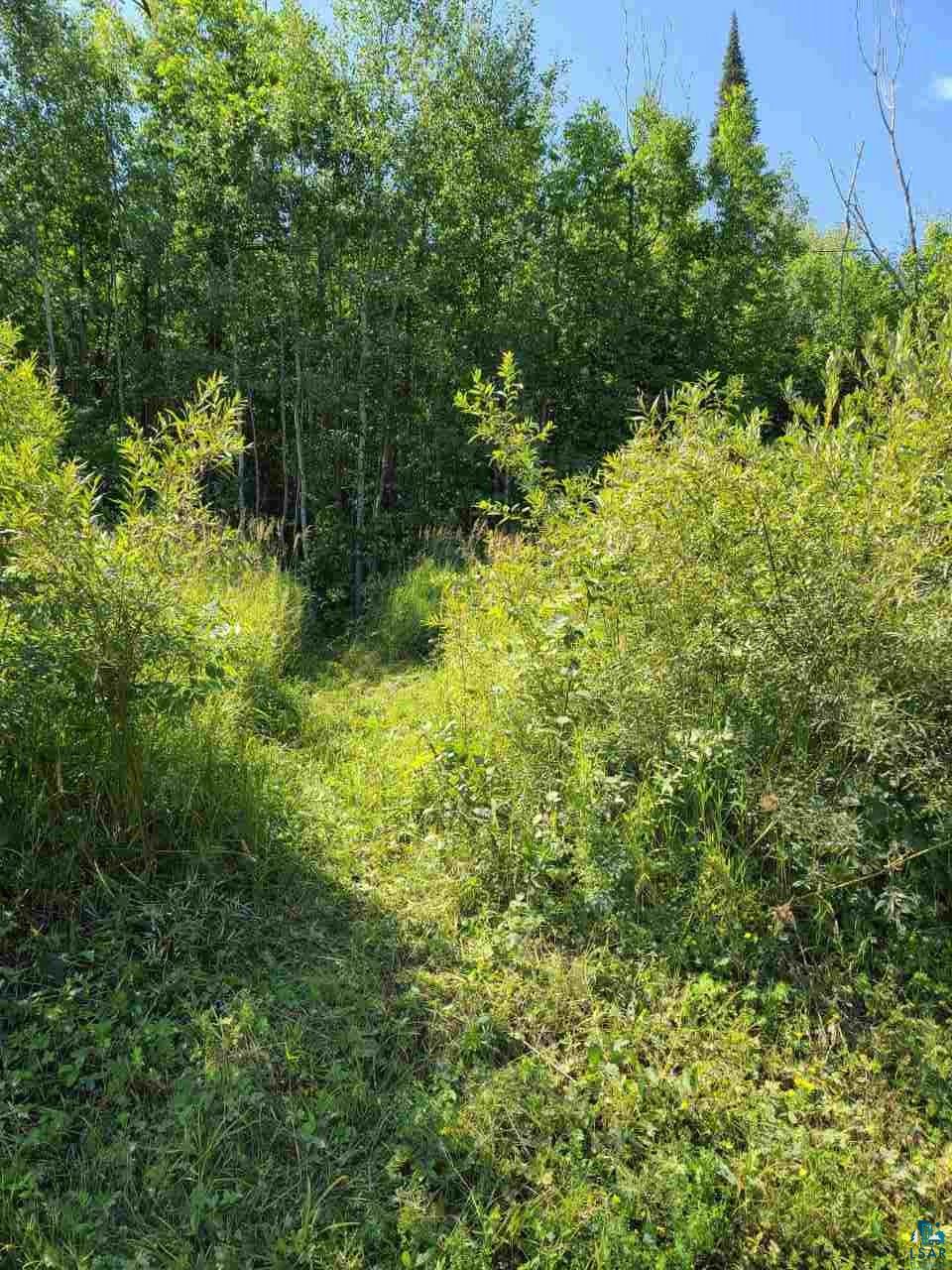 44-xx South Baumgartner Road Superior, WI 54880 - Photo 6 of 9
