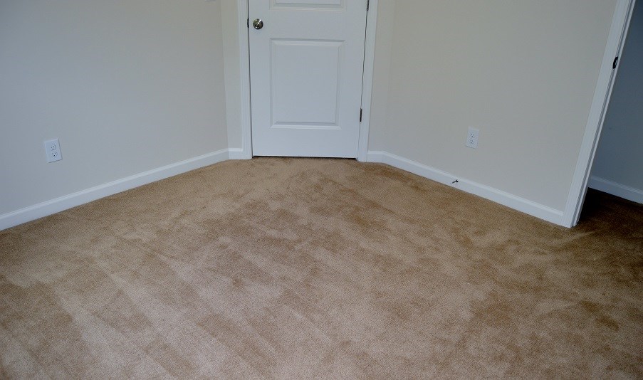 100 Big View Anderson, SC 29621 - Photo 11 of 15 Gallery Image 11