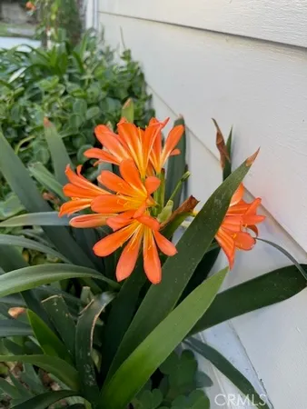 $2,800 | 10833 Arrowood Street, Temple City, CA 91780