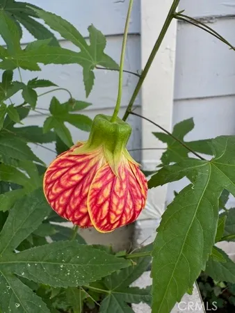 $2,800 | 10833 Arrowood Street, Temple City, CA 91780