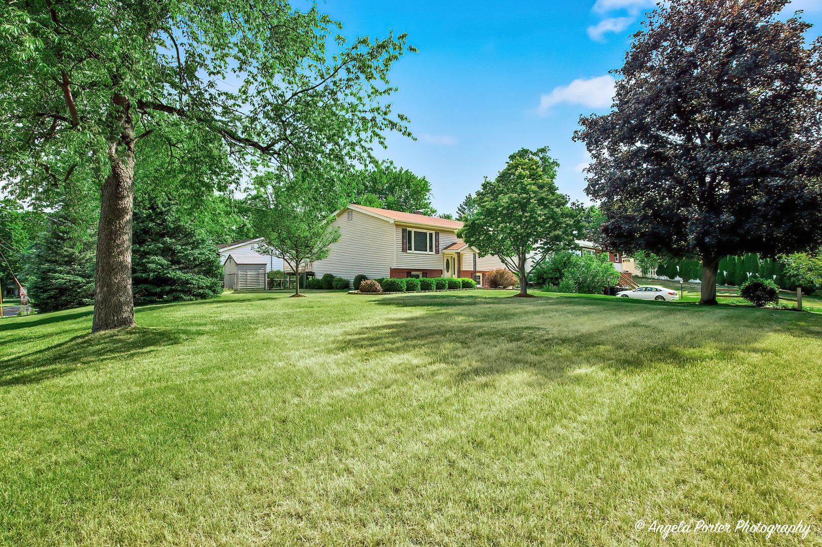 2208 Algonquin Road Fox River Grove, IL 60021 - Photo 6 of 37