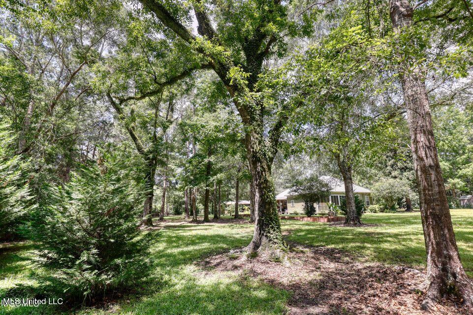 149 Tom Garner Road McHenry, MS 39561 - Photo 2 of 11 20210914234039746585000000-o