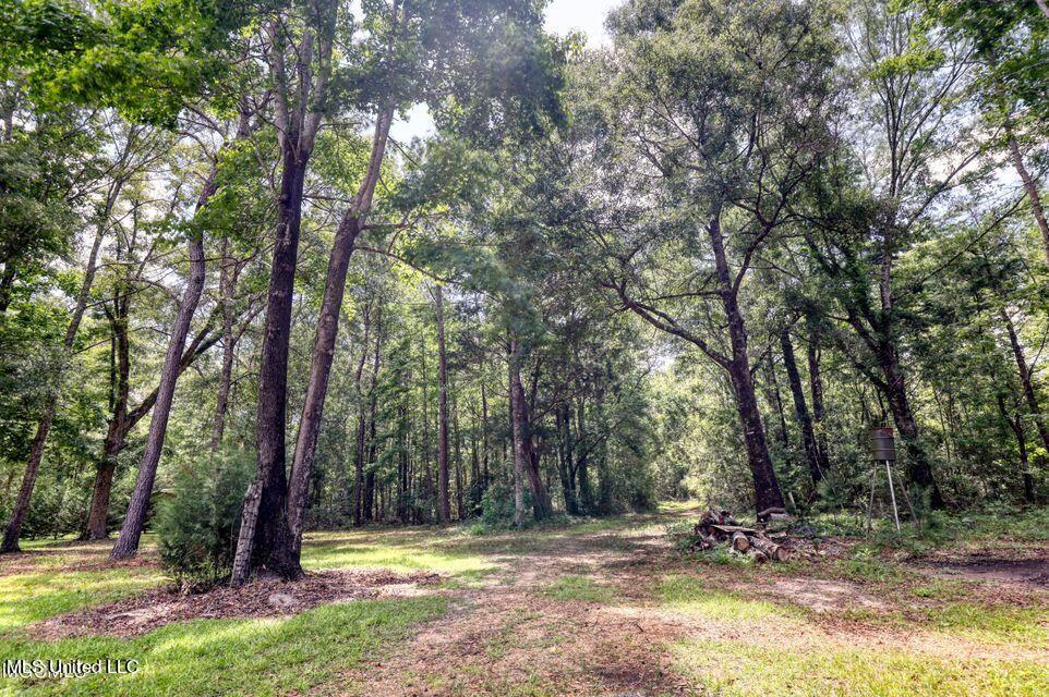 149 Tom Garner Road McHenry, MS 39561 - Photo 5 of 11 20210915003943228694000000-o