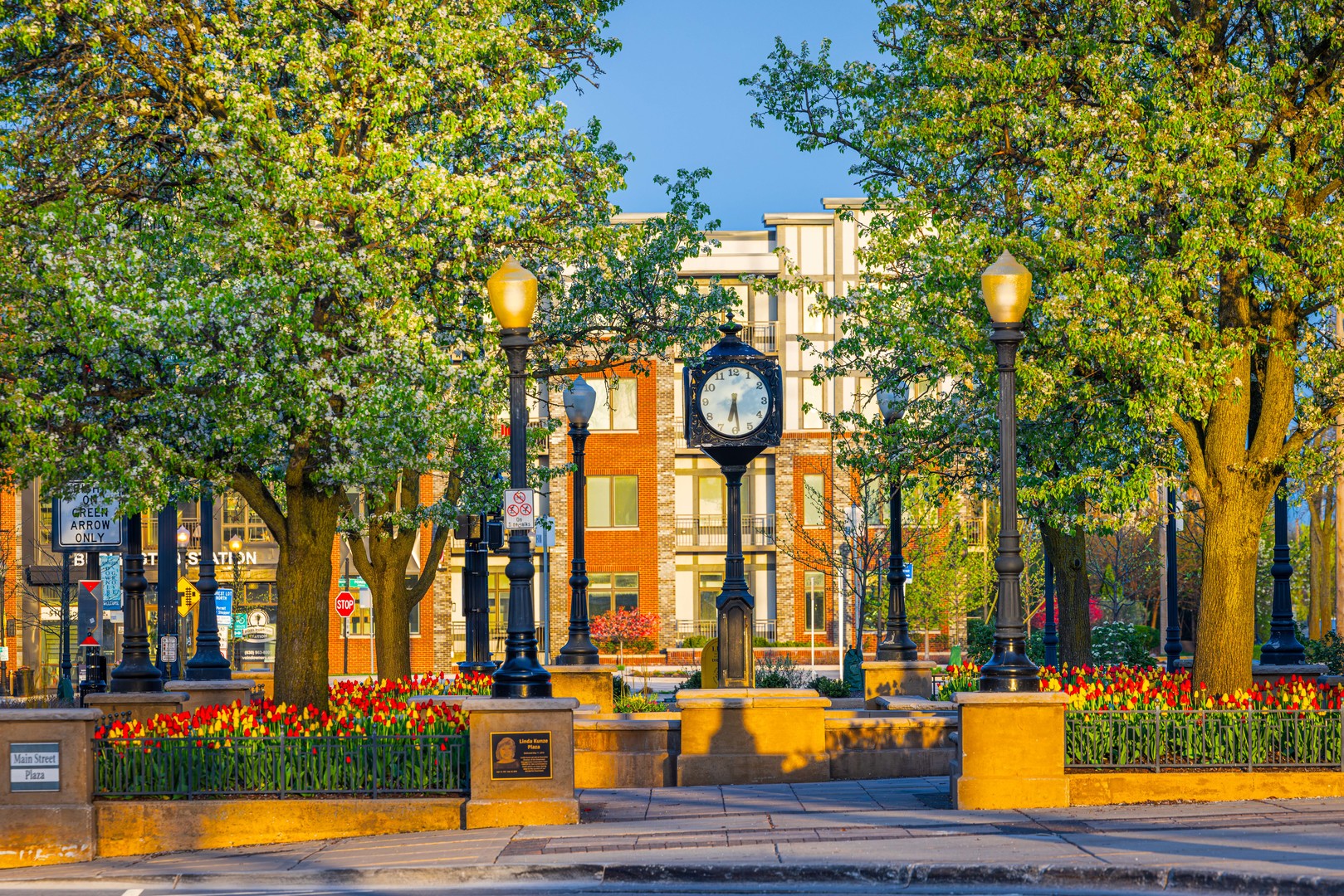 6901 Meadow Crest Drive Downers Grove, IL 60516 - Photo 41 of 42 a view of a swimming pool with an outdoor seating