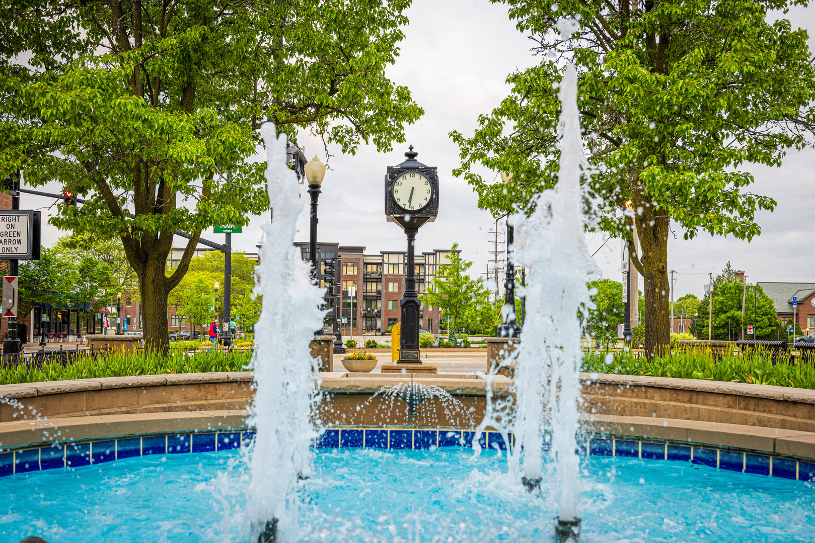 6901 Meadow Crest Drive Downers Grove, IL 60516 - Photo 42 of 42 a view of a bench in the garden