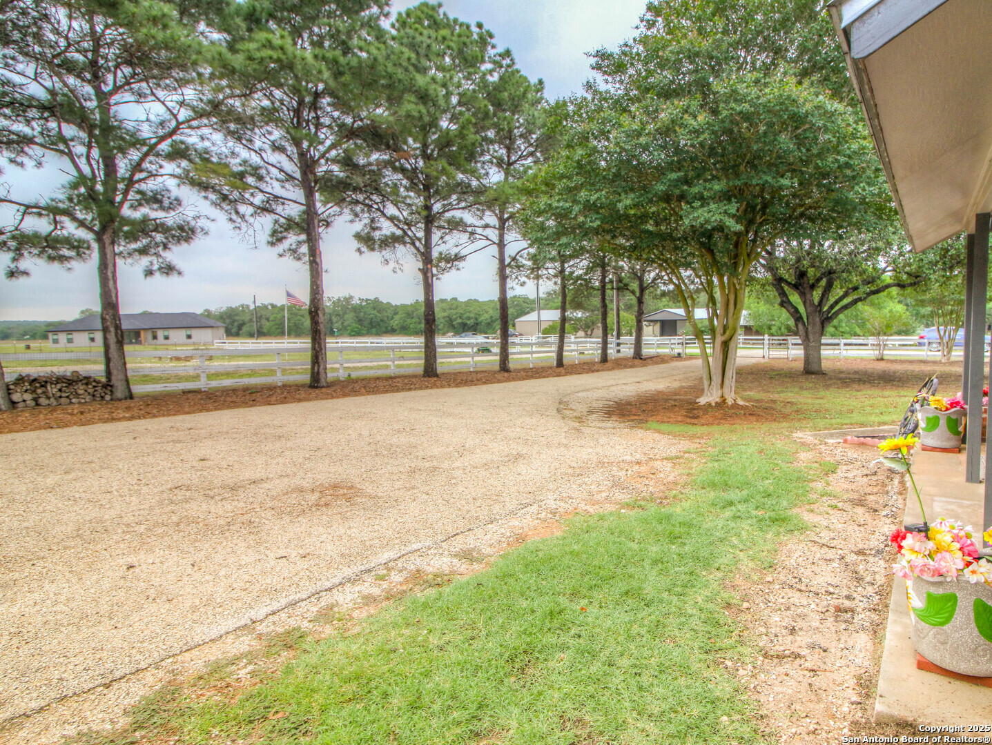 213 Bluebonnet Road La Vernia, TX 78121 - Photo 35 of 48 a view of yard with tree and green space