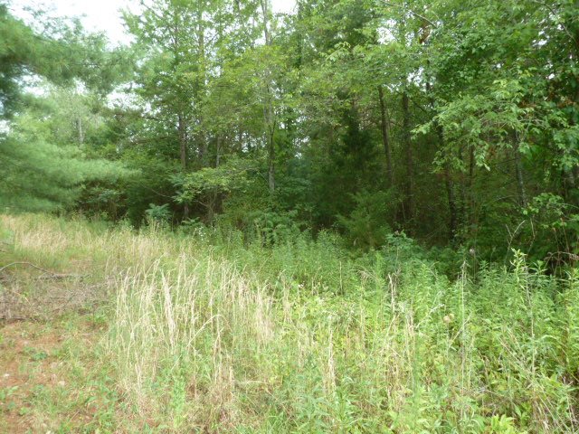 Perkins Creek Road Seneca, SC 29678 - Photo 1 of 9 Gallery Image 1