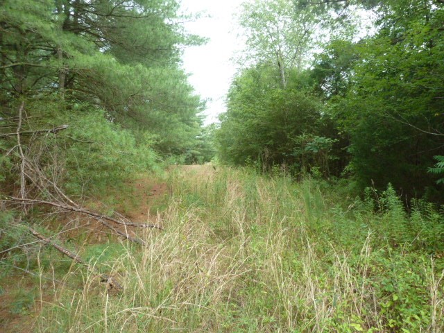 Perkins Creek Road Seneca, SC 29678 - Photo 2 of 9 Gallery Image 2