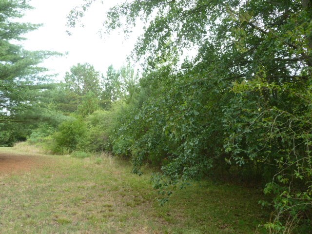 Perkins Creek Road Seneca, SC 29678 - Photo 5 of 9 Gallery Image 5