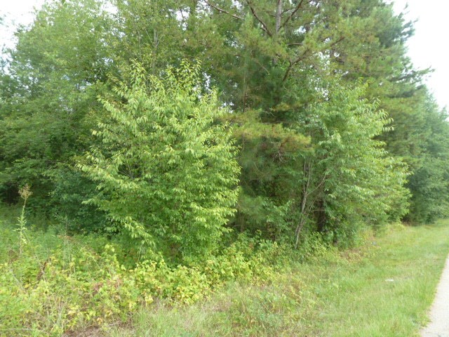 Perkins Creek Road Seneca, SC 29678 - Photo 7 of 9 Gallery Image 7