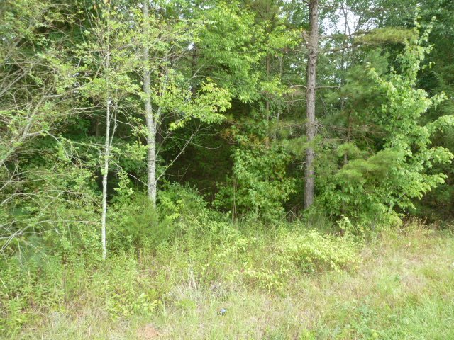 Perkins Creek Road Seneca, SC 29678 - Photo 8 of 9 Gallery Image 8