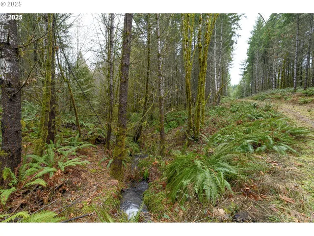 $2,425,000 | 0 Northwest Panther Creek Road, Yamhill, OR 97148