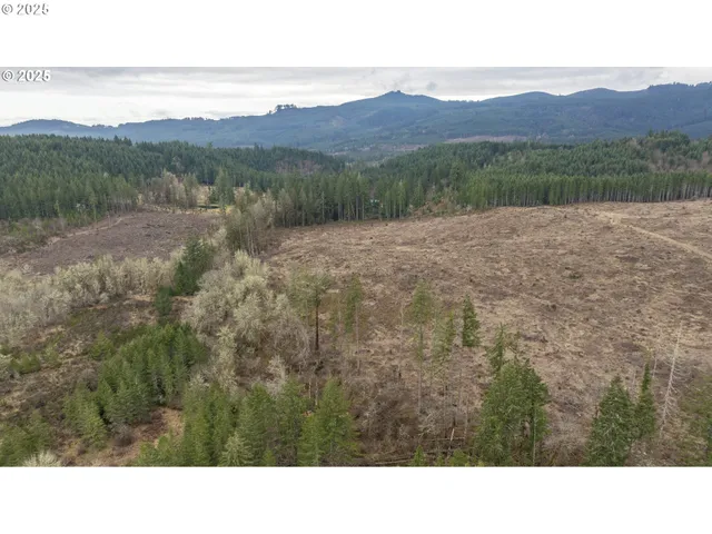 $2,425,000 | 0 Northwest Panther Creek Road, Yamhill, OR 97148