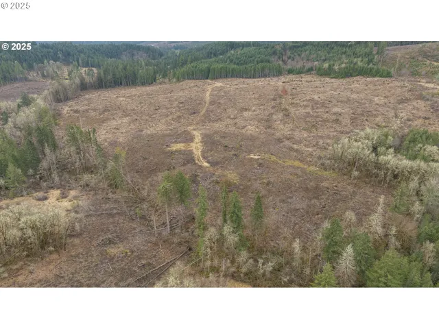 $2,425,000 | 0 Northwest Panther Creek Road, Yamhill, OR 97148