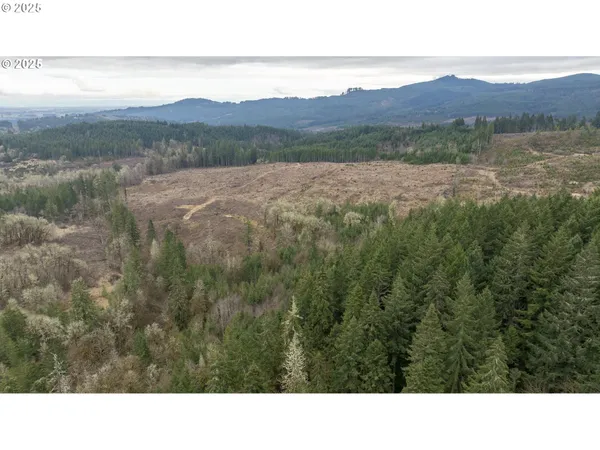 $2,425,000 | 0 Northwest Panther Creek Road, Yamhill, OR 97148
