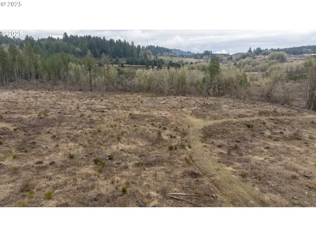 $2,425,000 | 0 Northwest Panther Creek Road, Yamhill, OR 97148