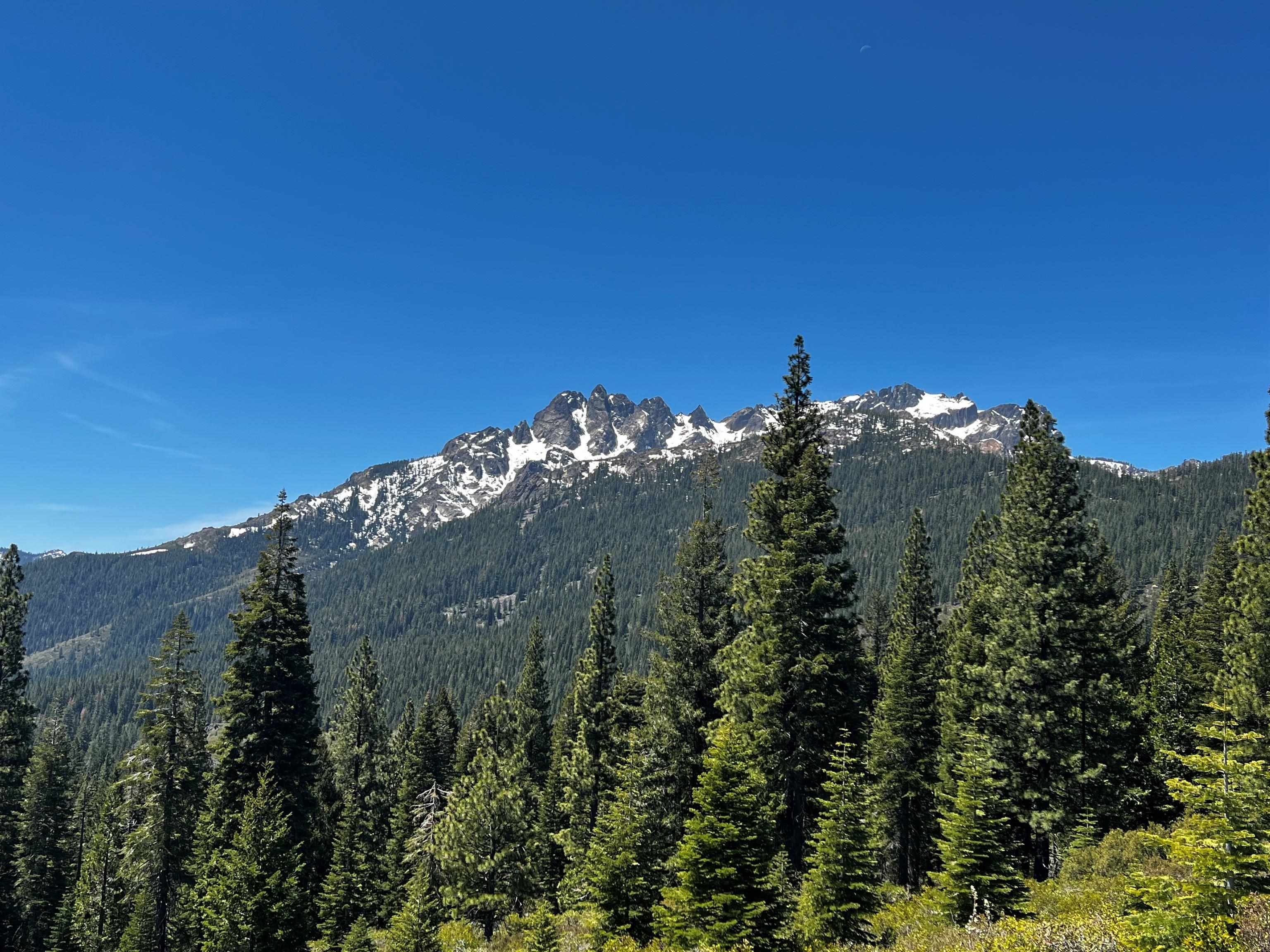 23 Haskell Creek Road, Unit 23 Calpine, CA 96124 - Photo 15 of 15 a view of a large building