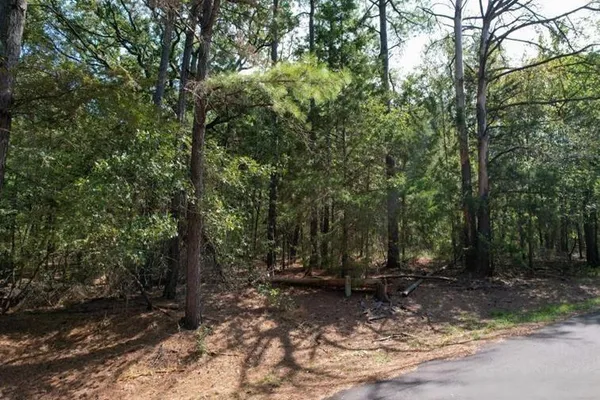 $9,750 | 18 Angelina Court, Mount Vernon, TX 75457