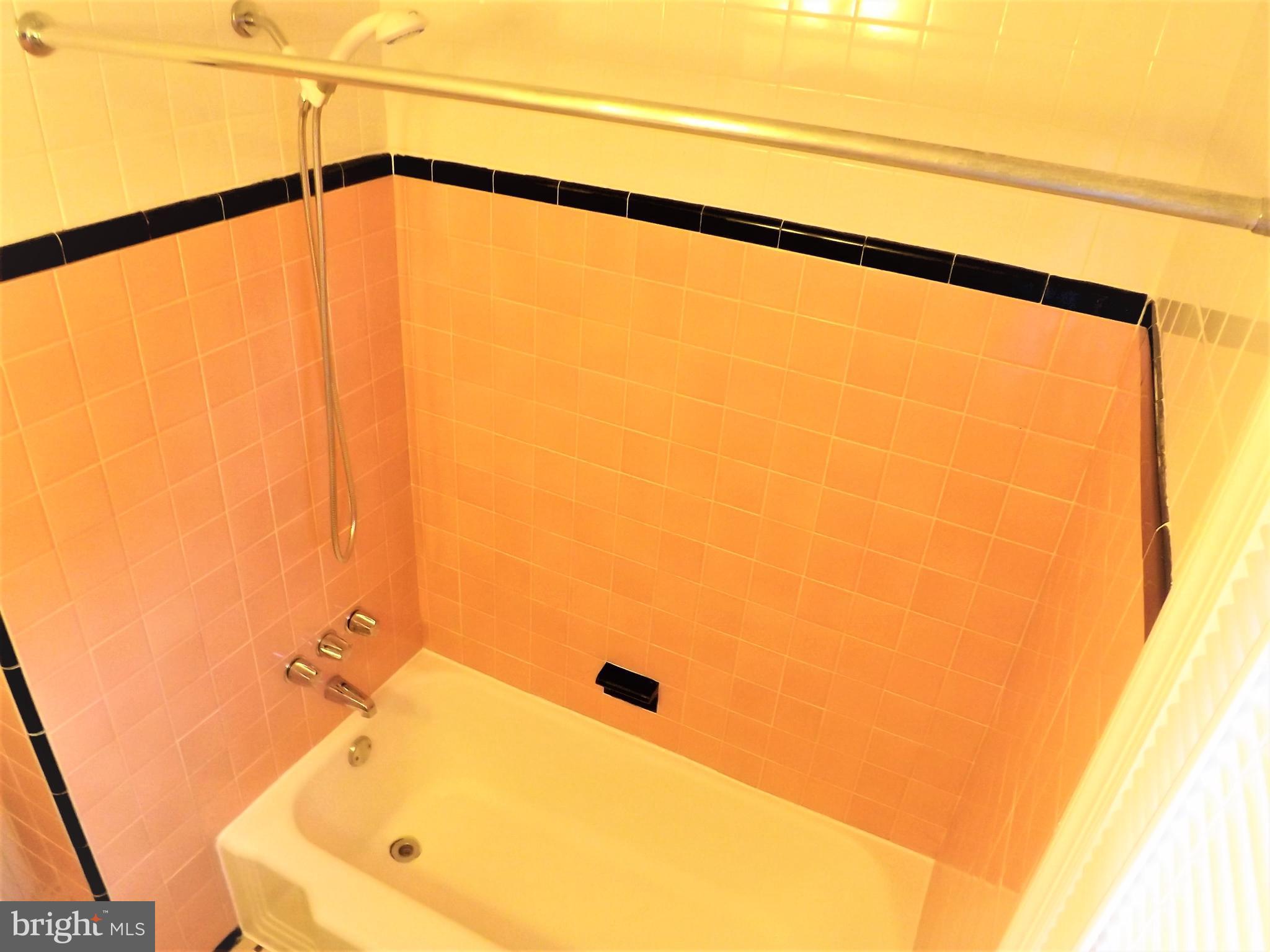 11936 Bluhill Road Silver Spring, MD 20902 - Photo 18 of 30 a bathroom with a shower and a window